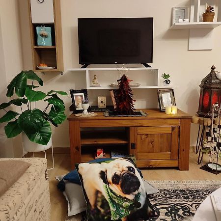 Mon Repos Paleopolis Cosy Apartment Corfu  外观 照片